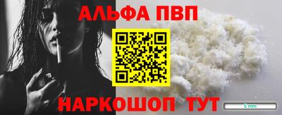 бошки Кингисепп