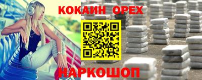 бошки Кингисепп
