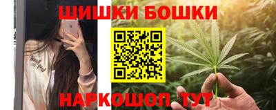 бошки Кингисепп
