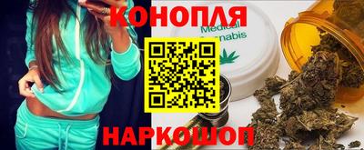 бошки Кингисепп