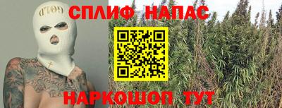 бошки Кингисепп