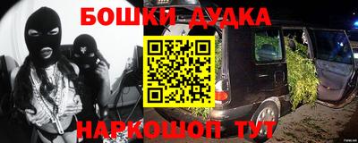 бошки Кингисепп