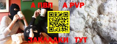 бошки Кингисепп