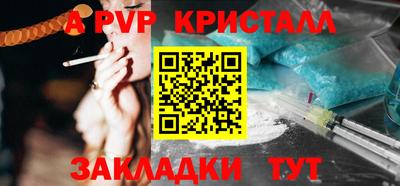 бошки Кингисепп